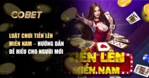 luật chơi tiến lên miền Nam
